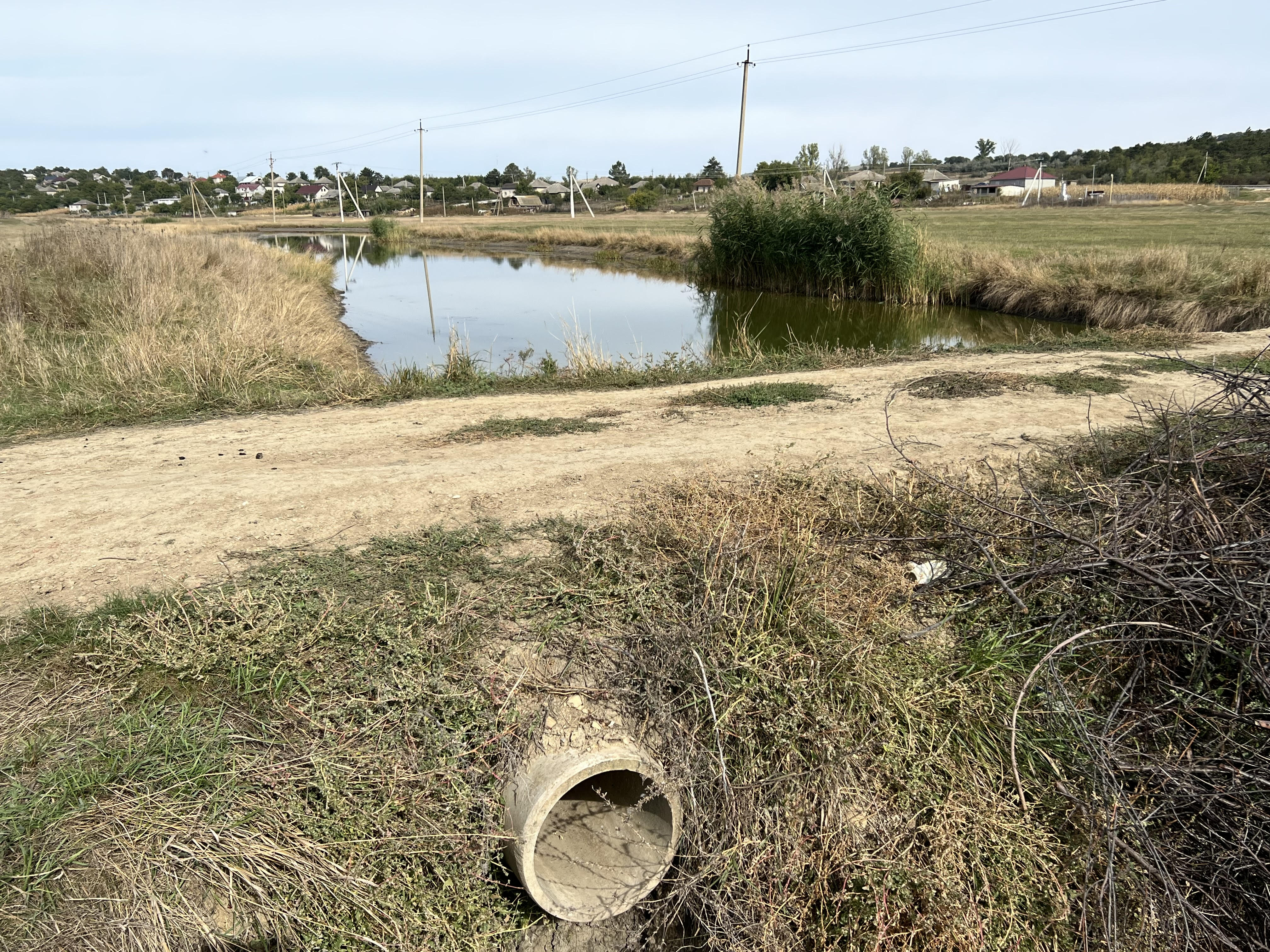 A dam on Ciulucul Mare at Bilicenii Vech. The dam across the stream was built using rubble. There is water on one side of the dam only. If the water level is too low, it will not reach the pipe in the centre at mid-height.  